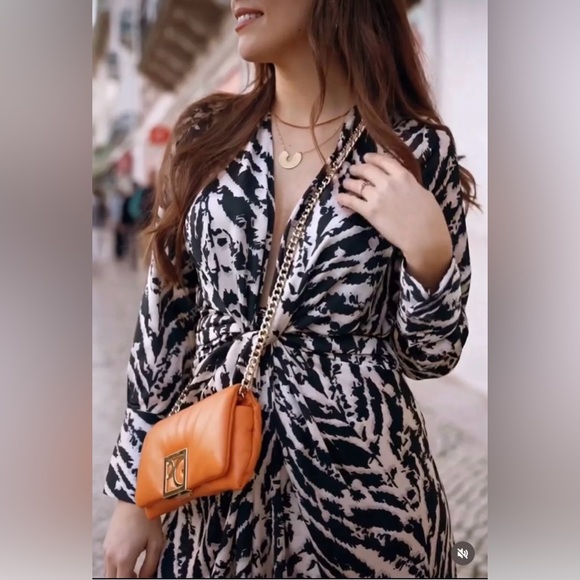 ZARA BLOGGERS’ FAVORITE SATIN EFFECT ANIMAL PRINT DRESS - Picture 4 of 16